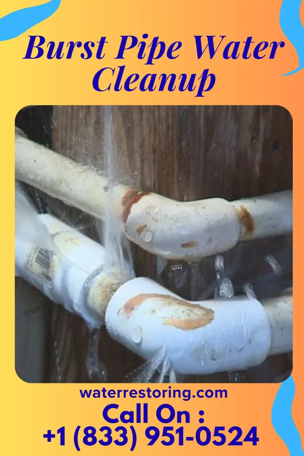 Burst Pipe Water Cleanup in Morgan Hill, PA