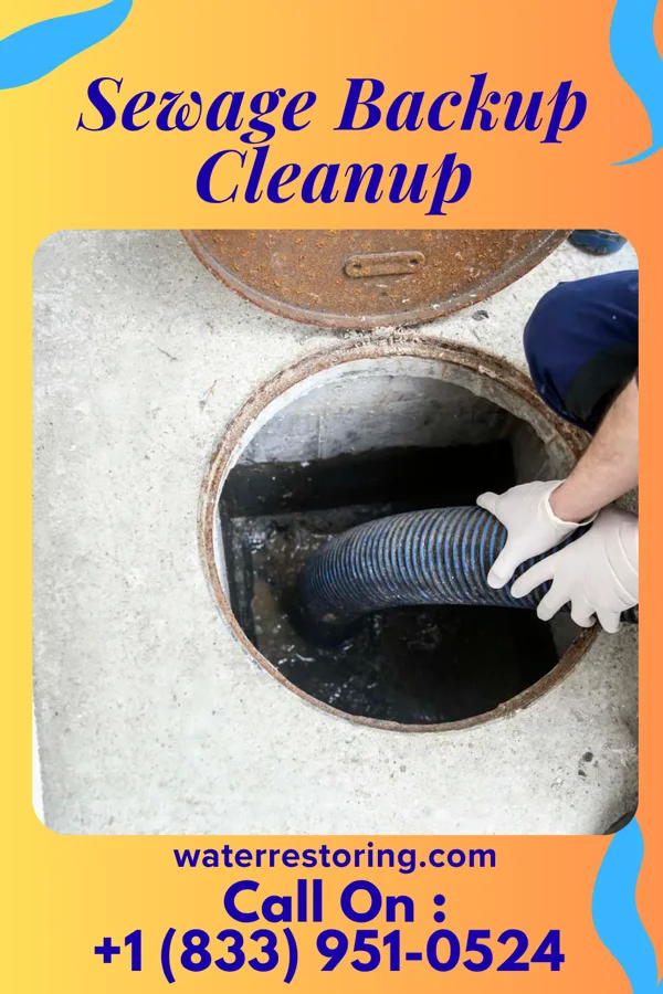 Sewage Backup Cleanup in Morgan Hill, PA