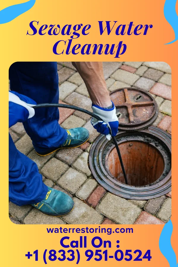 Sewage Water Cleanup in Morgan Hill, PA