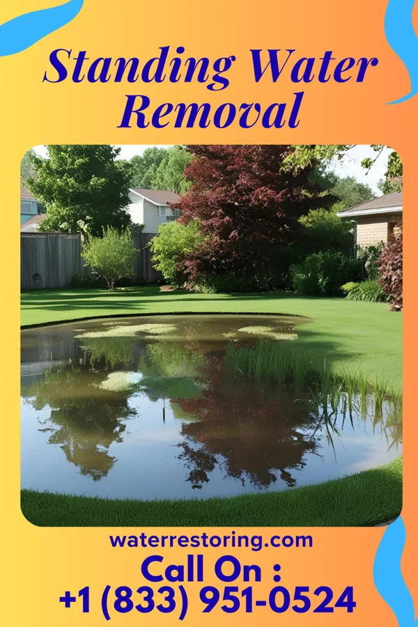 Standing Water Removal in Morgan Hill, PA
